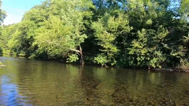 COOL Waters & Nice Trout on Pohopoco Creek смотреть онлайн