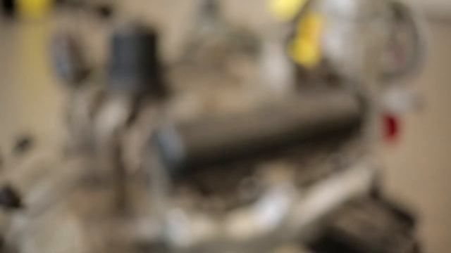 ГАПОУ ЛО «Всеволожский агропромышленный техникум» смотреть онлайн