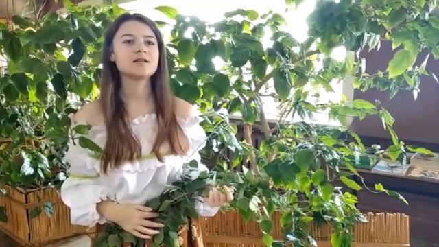 Цветочная поляна (СДК Коржевский) смотреть онлайн