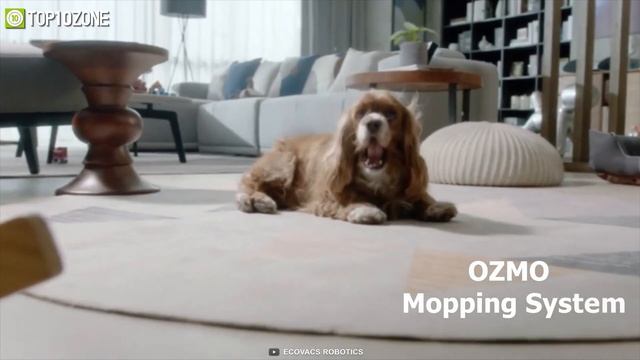 Top 10 Best Robot Vacuum Cleaner to Buy смотреть онлайн