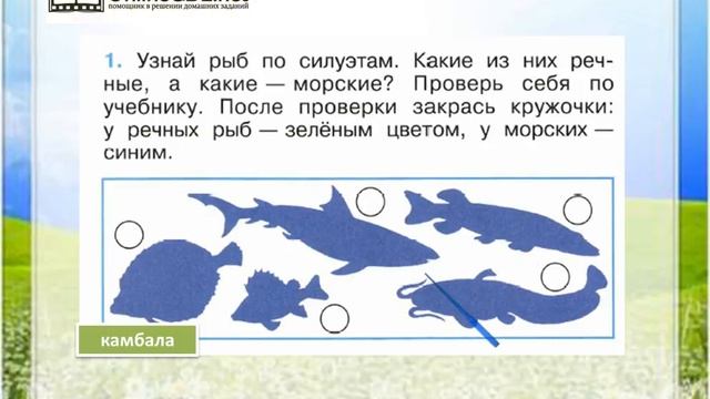 Задание 1 Кто такие рыбы? - Окружающий мир 1 класс (Плешаков А.А.) 1 часть смотреть онлайн