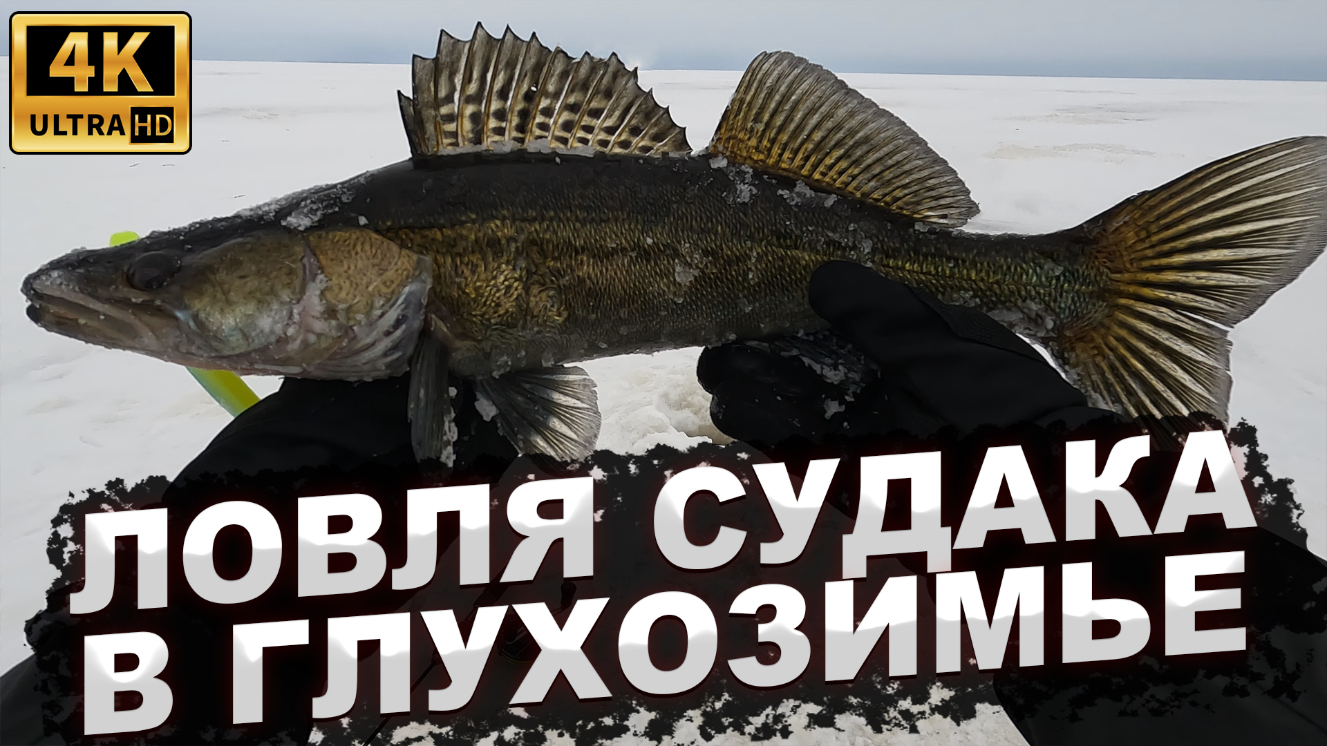 ЛОВЛЯ СУДАКА В ГЛУХОЗИМЬЕ. Рыбалка на Рыбинском водохранилище смотреть онлайн