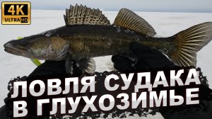ЛОВЛЯ СУДАКА В ГЛУХОЗИМЬЕ. Рыбалка на Рыбинском водохранилище