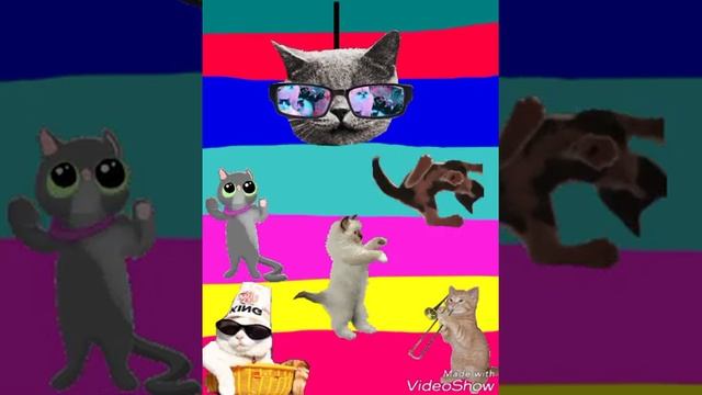 Что делают коты пока нас нет дома?!?? смотреть онлайн
