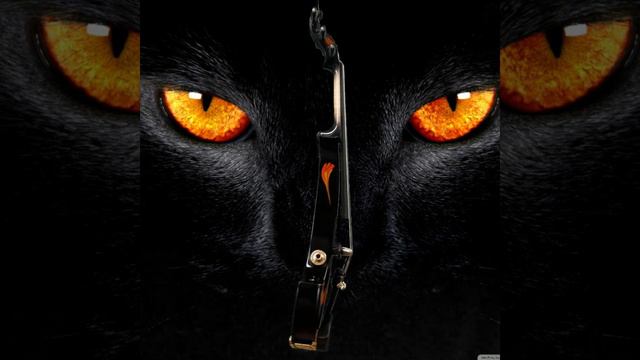 Electric violin in flames смотреть онлайн