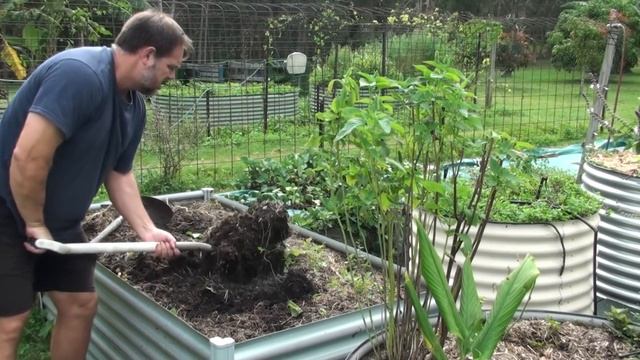 5 Tips How to Grow a Ton of Sweet Potato in One Container or Garden Bed смотреть онлайн