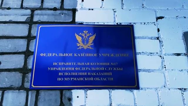 Реклама профессии. Дарья Строганова, г. Мурманск смотреть онлайн