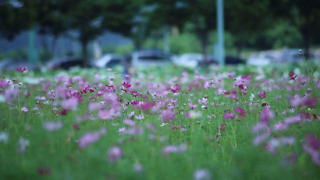ЯЗЫК ПРОБУЖДЕННОГО СОЗНАНИЯ смотреть онлайн