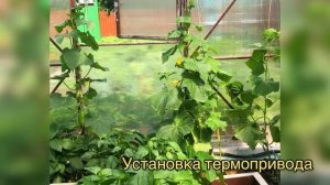 ИНСТРУКЦИЯ ПО УСТАНОВКЕ ТЕРМОПРИВОДА НА ФОРТОЧКИ СТЕНОВЫЕ И ТОРЦЕВЫЕ