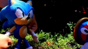 Sonic Plush: SonAmy 5