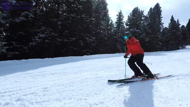 Elan Wingman 82 CTi Fusion X Ski Review