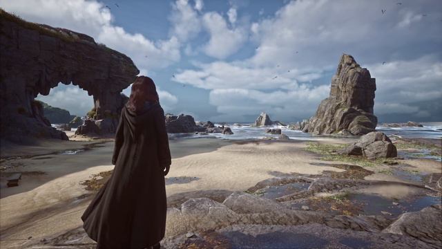 HOGWARTS LEGACY Coastal Vivarium Ambience | No Music | 1 HOUR смотреть онлайн