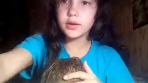 Какую причёску можно сделать реборну с короткими волосами