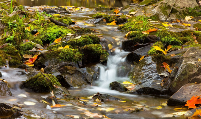 Звуки леса и щебетание птиц. Звуки водопада. Звуки природы для сна ✦ Релакс ✦ Релаксация смотреть онлайн