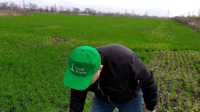 Комплексная подкормка Озимого и Ярового Рапса. Микроудобрение Реаком Рапс Микромакс Хелат Бор 150. смотреть онлайн