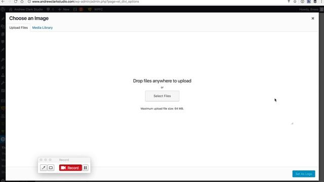 Divi: How to change logo and favicon on Divi Wordpress website смотреть онлайн