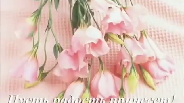 Пожелание смотреть онлайн