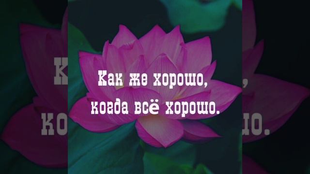 Желаю Кавер от КЭТ Елена Ваенга #coverkat #cover #кавер #еленаваенга #желаю смотреть онлайн