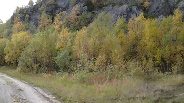 Щук-озеро и его окрестности