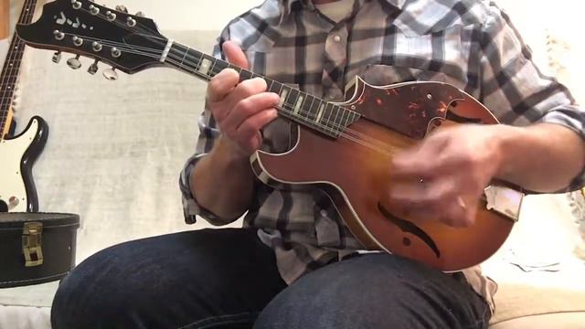 Vivi V192 Mandolin Harmony Batwing Vintage 1970’s смотреть онлайн