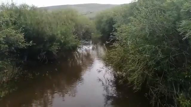 Протока реки Онон. смотреть онлайн