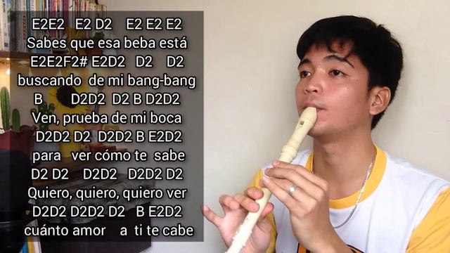 DESPACITO (Luis Fonsi with Daddy Yankee feat. Justin Bieber) Flute Recorder Cover with Letter Notes смотреть онлайн