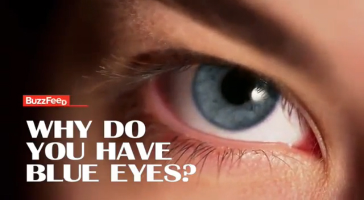 Почему у вас голубые глаза смотреть онлайн