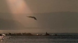 🦅 Лео Рохас - Полёт кондора 🦅 Leo Rojas - El Condor Pasa 🦅