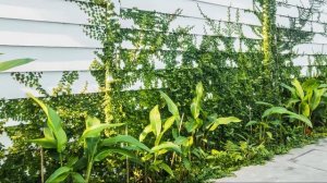 Как подобрать цвет забора? Трендовые цвета ограждений в 2021 г.