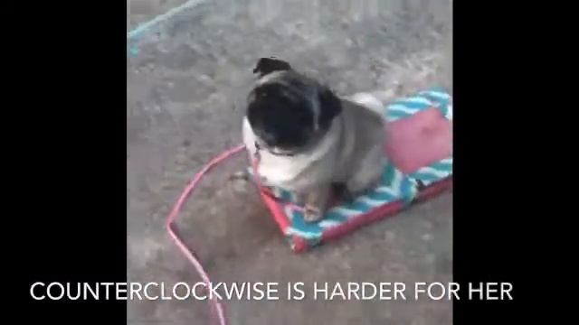 KL’s Clock Game смотреть онлайн