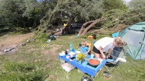 Кемпинг на Оке. Отдых с палатками. Обзор лагеря. Дракино