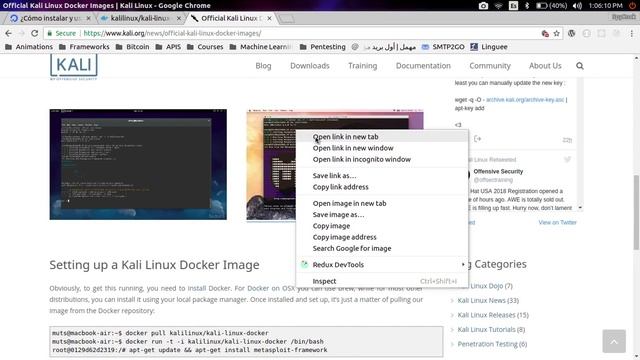 Kali Linux en Docker. смотреть онлайн