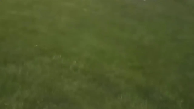 Просто приколы. смотреть онлайн