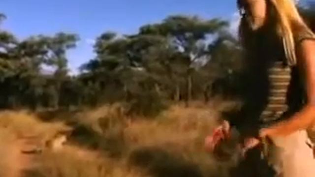 Укротительница гепардов.flv смотреть онлайн