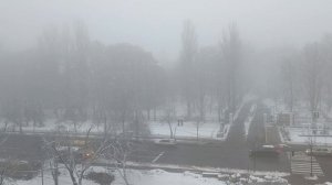 Арктическая тоска 2022