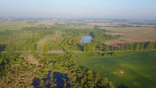 Болото моего детства смотреть онлайн