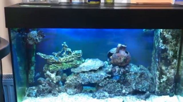 Lotos Spa смотреть онлайн