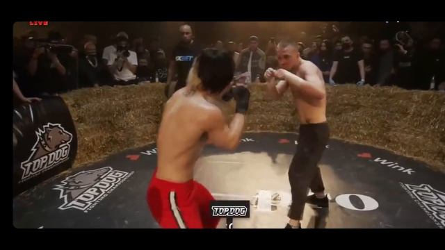 TOP DOG 7. АНУБИС vs ЧИБИС. КРОВАВАЯ ЗАРУБА. TDFC7. Досрочная победа. ТОП ДОГ. смотреть онлайн