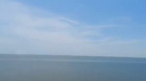 "ЗАЧЕМ ТЫ ИВА" В ИСПОЛНЕНИИ АЛЕКСАНДРА СЕНЮТЫ. Ролик создан благодаря каналу ЛЯДОВИЧИ ФАЗЕНДА.