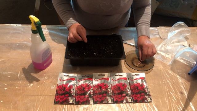 Ампельная петуния Розовая лавина #садсвоимируками #любимыецветы #садоводство смотреть онлайн