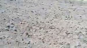 Самодельный плуг на тракторе Т-16.