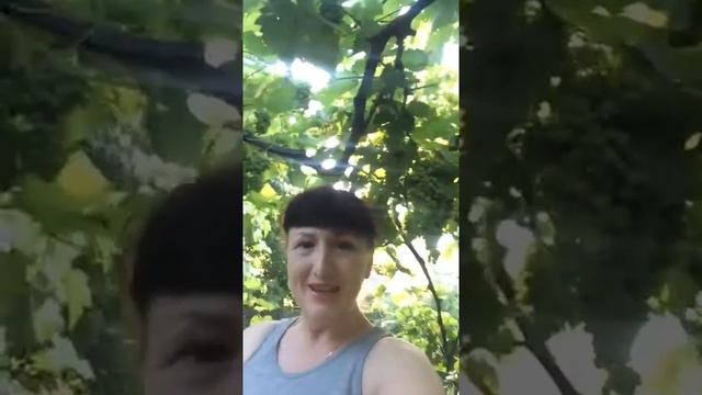 Как я активируюсь в течении дня! смотреть онлайн