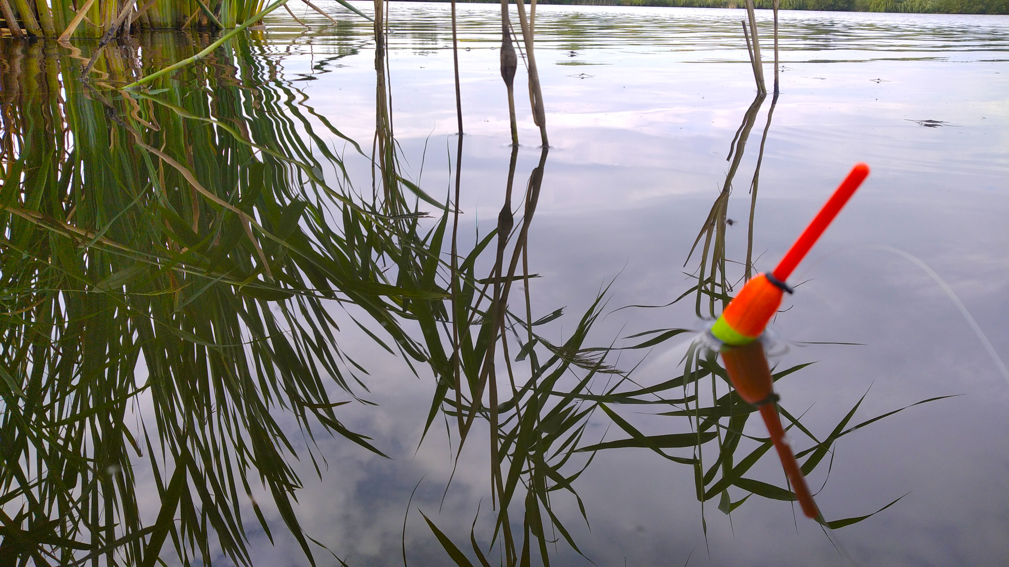Ловля КАРАСЯ В ОКТЯБРЕ.Рыбалка на карася .Эксперементы с наживками. смотреть онлайн
