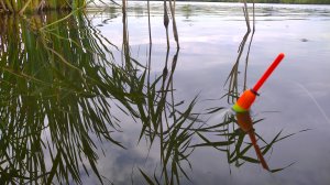 Ловля  КАРАСЯ В ОКТЯБРЕ.Рыбалка на карася .Эксперементы с наживками.