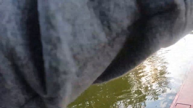 College Bass Tour Stop #4 - Grand River смотреть онлайн
