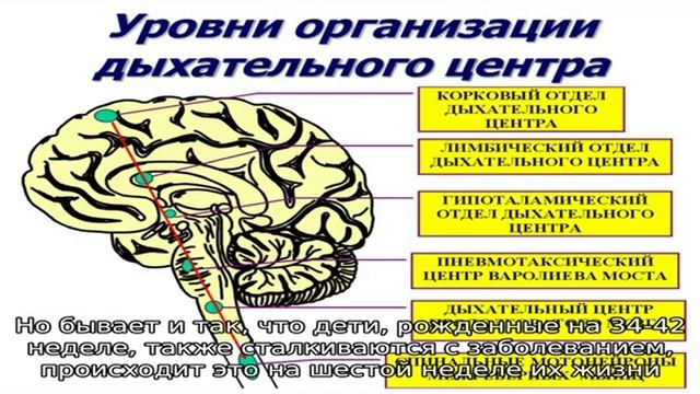 Особенности апноэ сна у детей