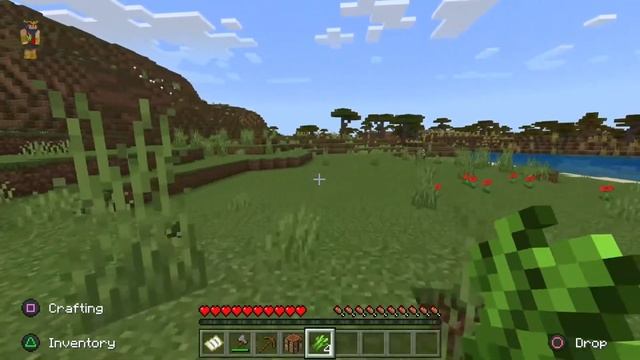 Minecraft Needs An Adolf Skin...