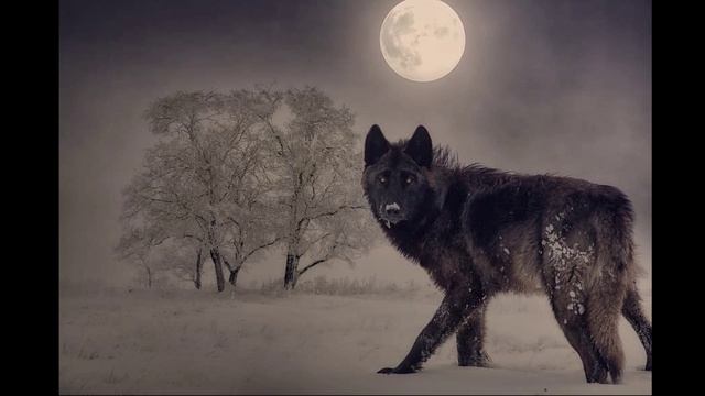 Алексей Мандельштам - Несчастен тот, кто не мечтает (Мираж)