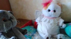 Утро с басиком и лили