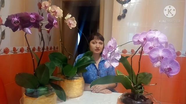 Как я избавилась от мучнистого червеца! Мучнистый червец , что делать? Моя ужасная история! смотреть онлайн